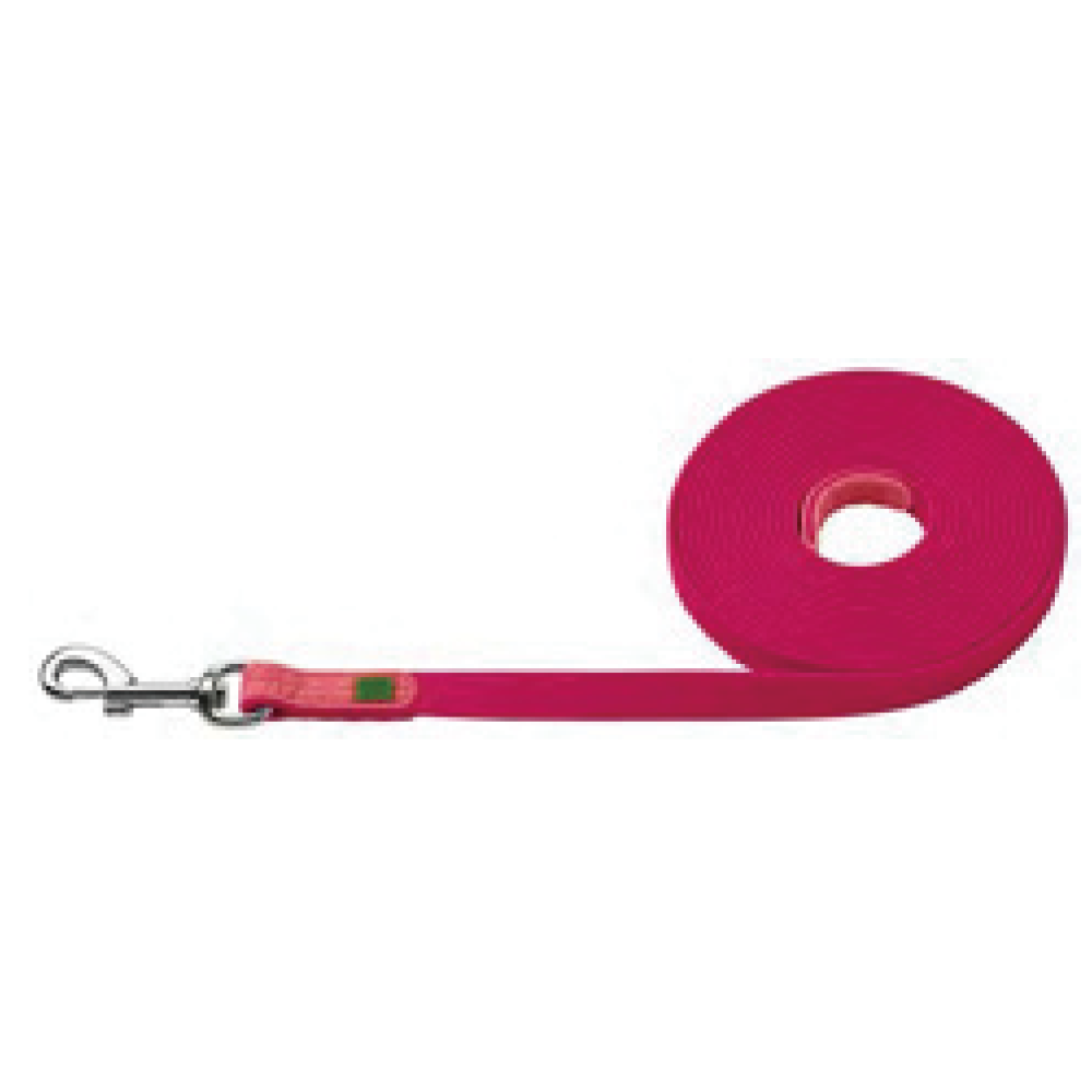 Leash for Dogs